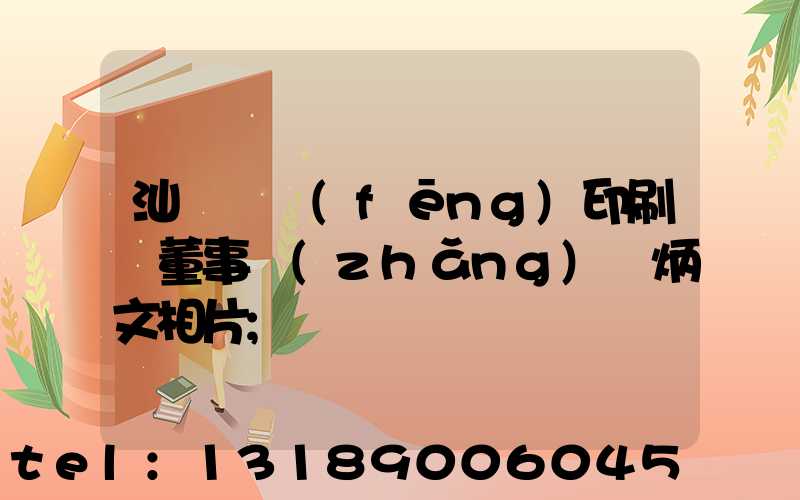 汕頭東風(fēng)印刷廠董事長(zhǎng)黃炳文相片